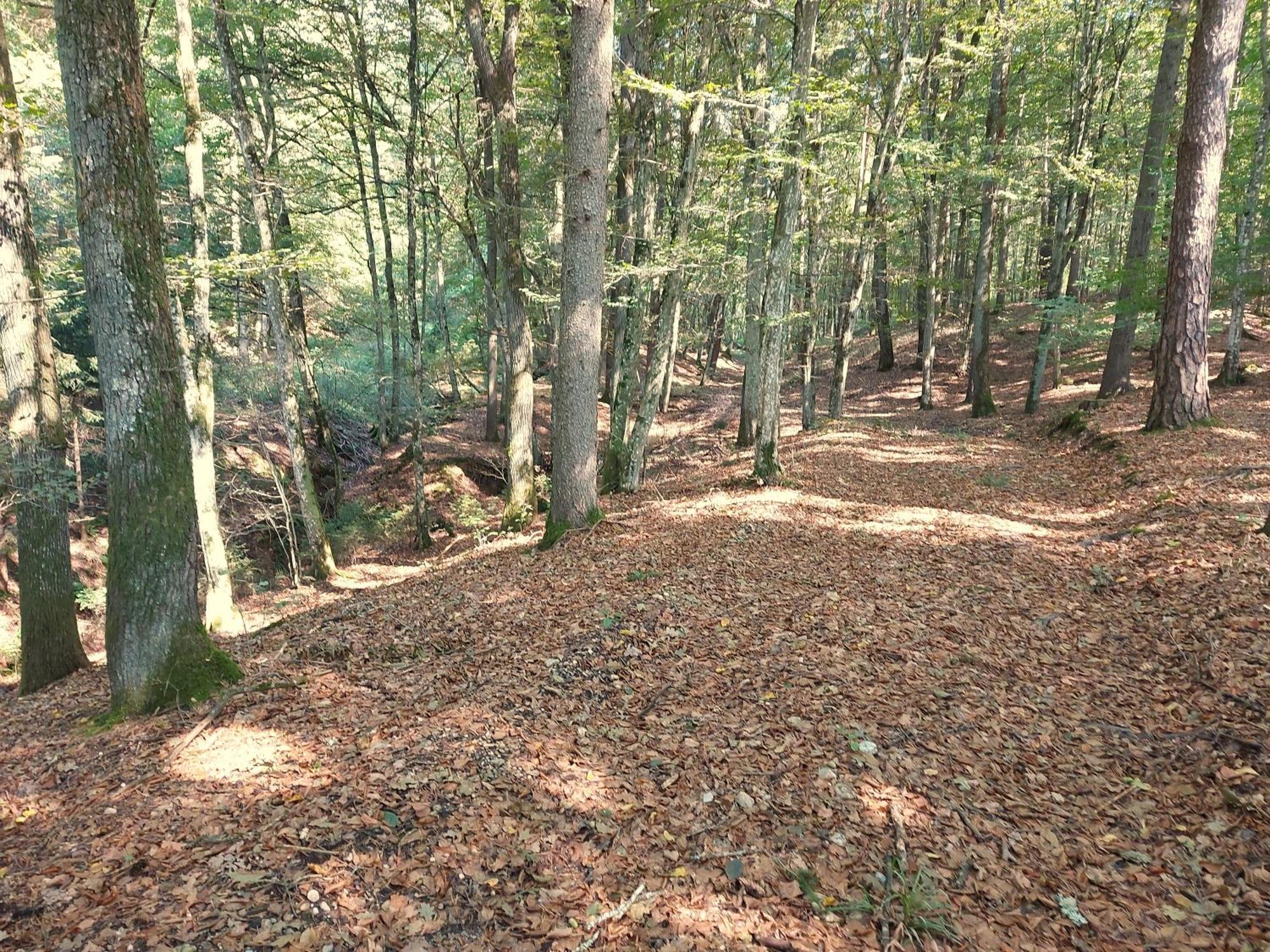 Landhaus Annmarie Limbach im Burgenland Exteriör bild